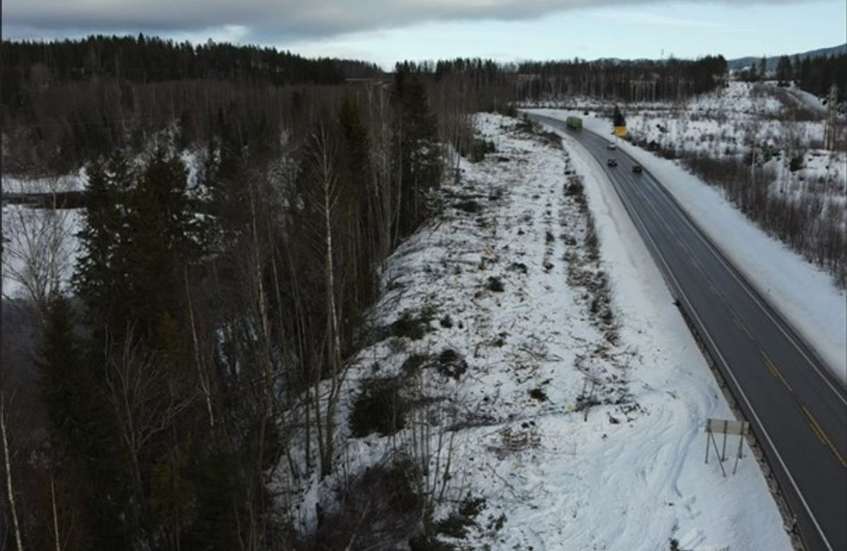 E16 passerer nær skredområdet. Det er fjernet mye vegetasjon for å forberede arbeidene med erosjonssikringen. Foto: Ringerike kommune.