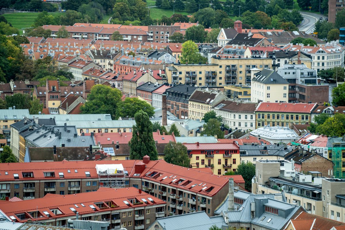 Studenter som skal starte studiene til høsten har allerede startet letingen etter bolig i Oslo.  Foto: Gorm Kallestad / NTB