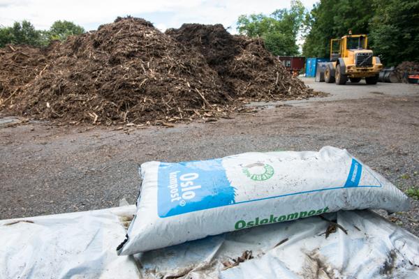 Hvis du leverer hageavfall til kommunens avfallsmottak, kan du hindre at fremmede planter sprer seg. Foto: Bård Bredesen, Naturarkivet.no