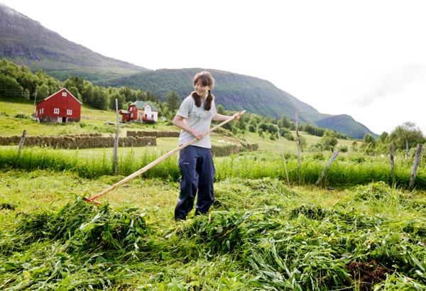 Stadig færre velger å bo på landbrukseiendommer. Foto: Kyrre Lien / NTB
