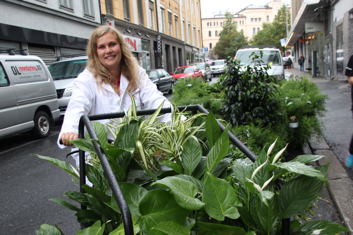 Grønne planter er ikke bare en trend, men kan bidra til bedre innemiljø og helse. På det nyåpnede Plantoteket i Oslo sentrum kunne publikum få med en plante på grønn resept. (Foto: Svanhild Blakstad)