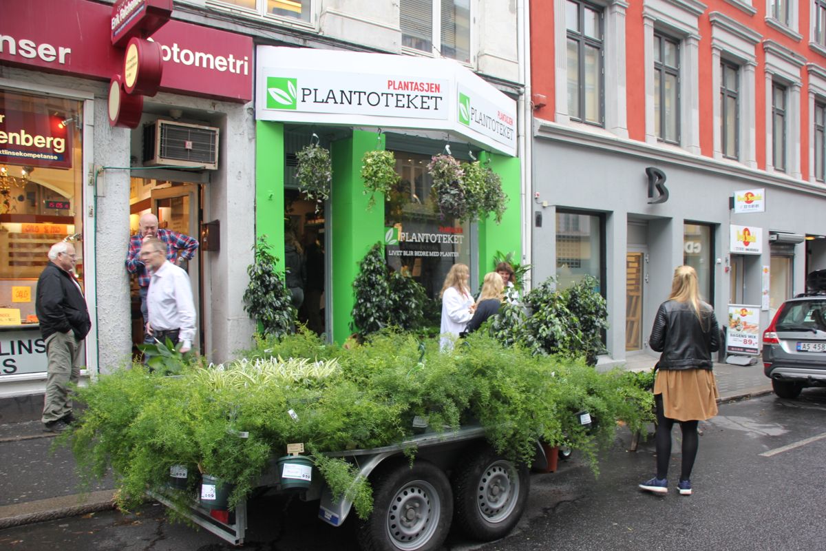 Grønne planter er ikke bare en trend, men kan bidra til bedre innemiljø og helse. På det nyåpnede Plantoteket i Oslo sentrum kunne publikum få med med en plante på grønn resept. (Foto: Svanhild Blakstad)