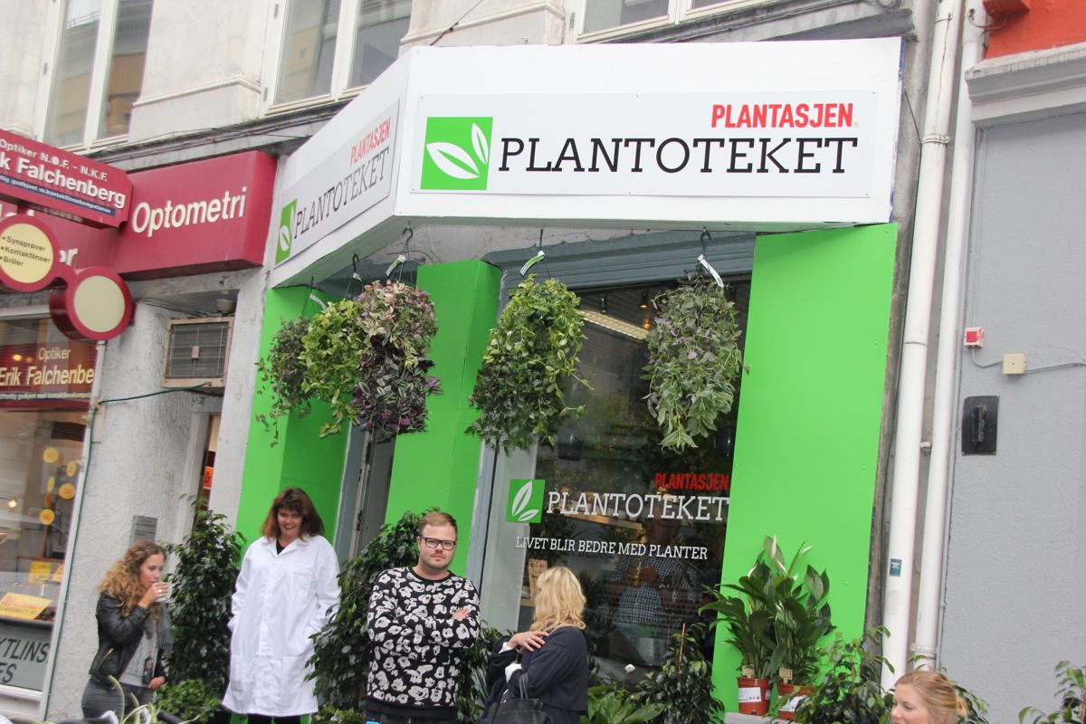 Grønne planter er ikke bare en trend, men kan bidra til bedre innemiljø og helse. På det nyåpnede Plantoteket i Oslo sentrum kunne publikum få med en plante på grønn resept. (Foto: Svanhild Blakstad)