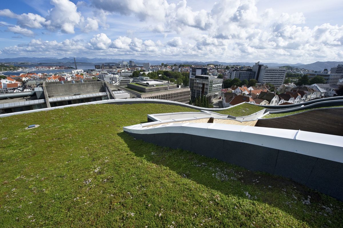 Næringsbygg og offentlige bygg i de store byene velger ofte grønne tak, men også vanlige bygg og privatboliger kommer etter. Comfort Square Hotell i Stavanger benyttet sedum på hele taket og i atriet.