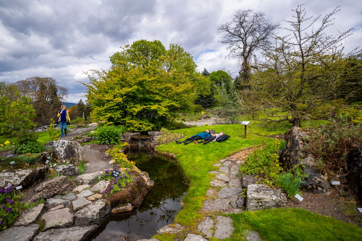 Jorun Utne og Kjartan Rumpsfeld nyter stillheten og duftene i Botanisk hage i Oslo. På mandag ble portene åpnet for publikum etter at hagen har vært koronastengt. Foto: Håkon Mosvold Larsen / NTB scanpix