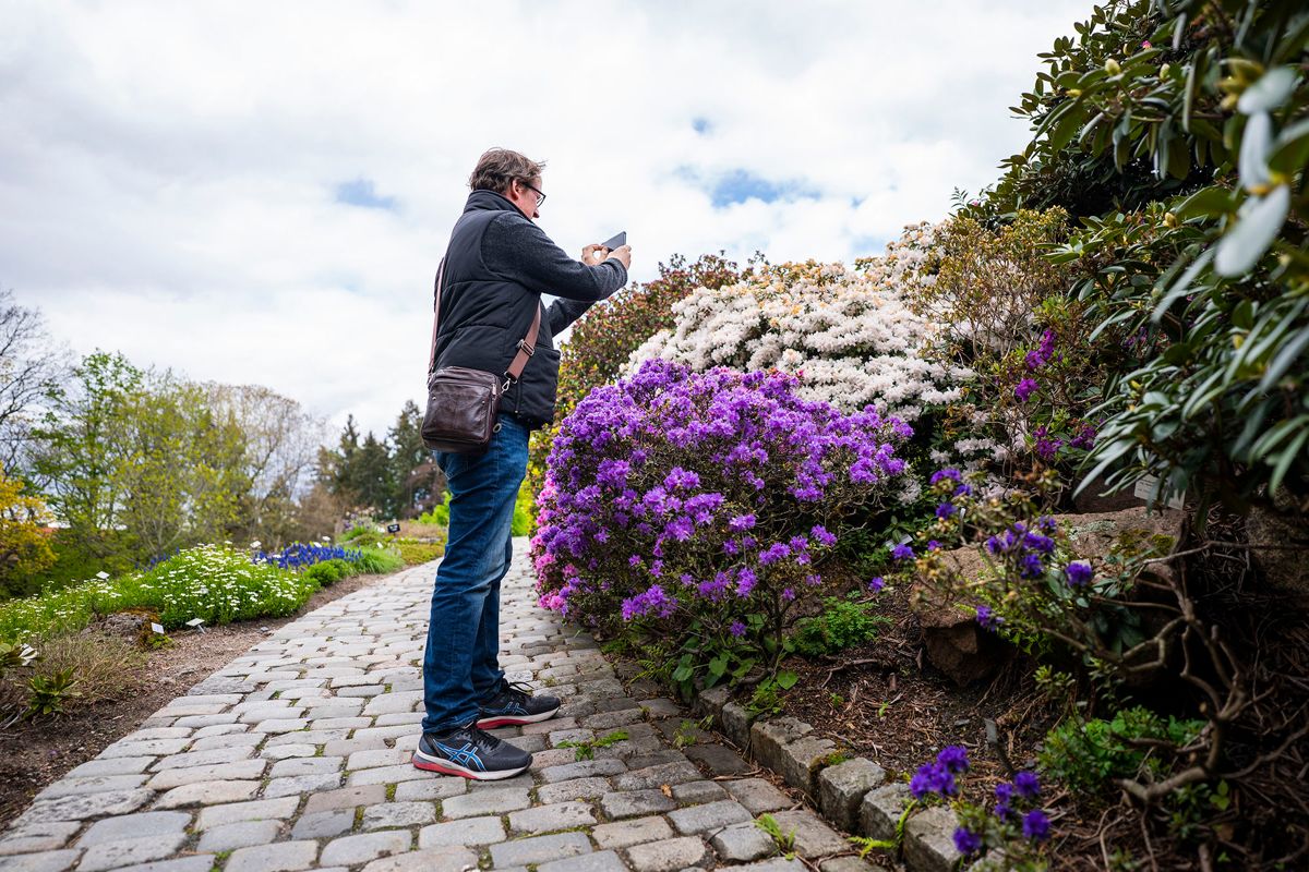 Rune Bauer er glad i blomster - så lenge han slipper å ta vare på dem selv. Mandag besøker han Botanisk hage i Oslo som endelig kunne åpne portene etter å ha vært koronastengt for publikum. Foto: Håkon Mosvold Larsen / NTB scanpix