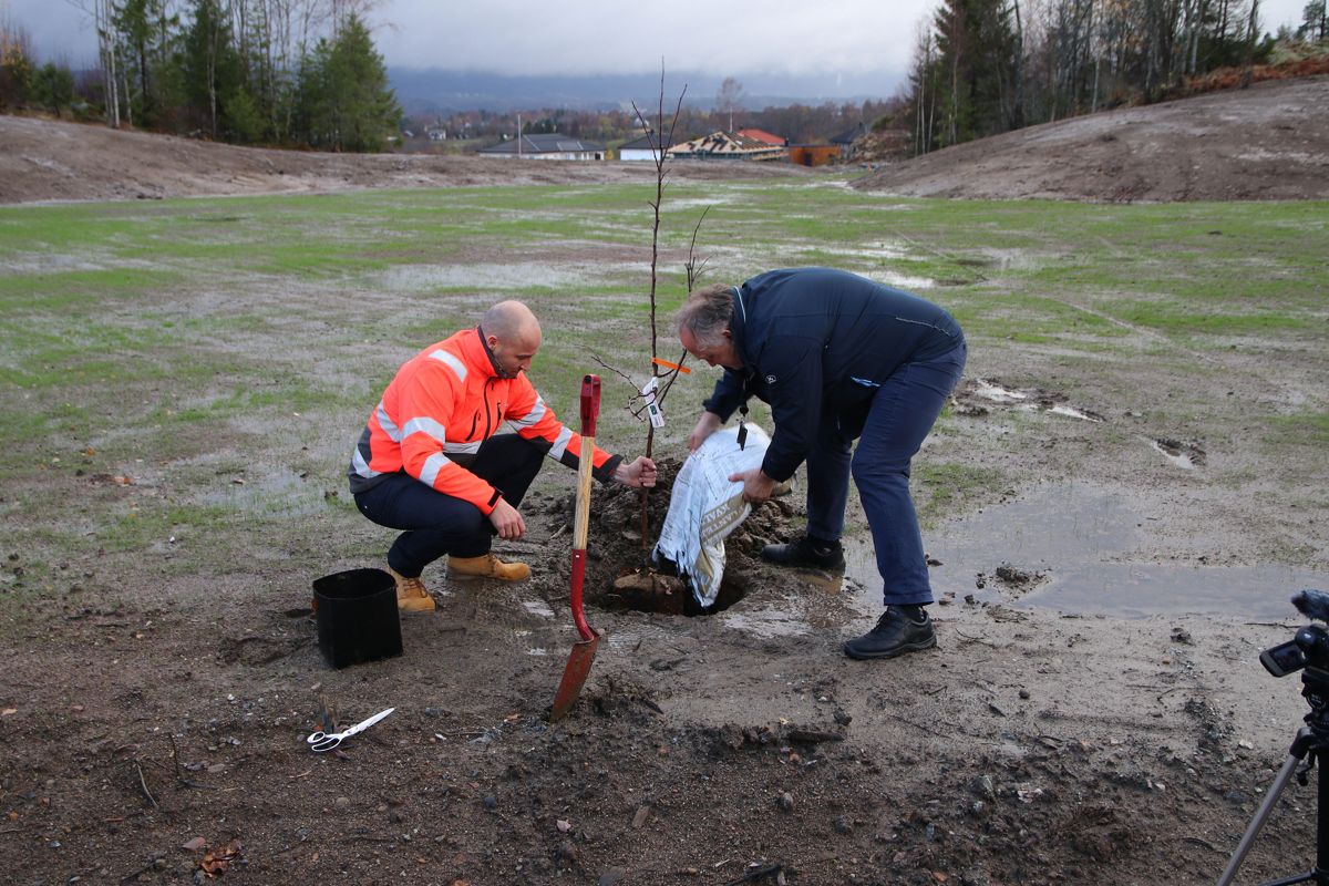 Jon-Olav Sigvartsen og ordfører i Eidsvoll kommune, John-Erik Vika, plantet et epletre på området i forbindelse med markeringen tirsdag. Epletreet var en gave fra Gardermoen Tomteselskap AS.