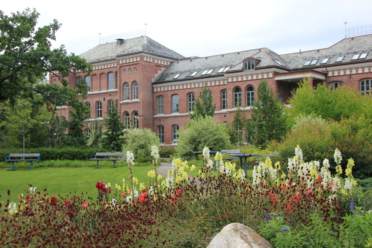 <p>St. Olavs Hospital i Trondheim legger stor vekt på universell utforming og med stort brukerfokus. Bildet er uteområdene ved Sykehusparken.</p><p></p> Foto: Foto: Svanhild Blakstad