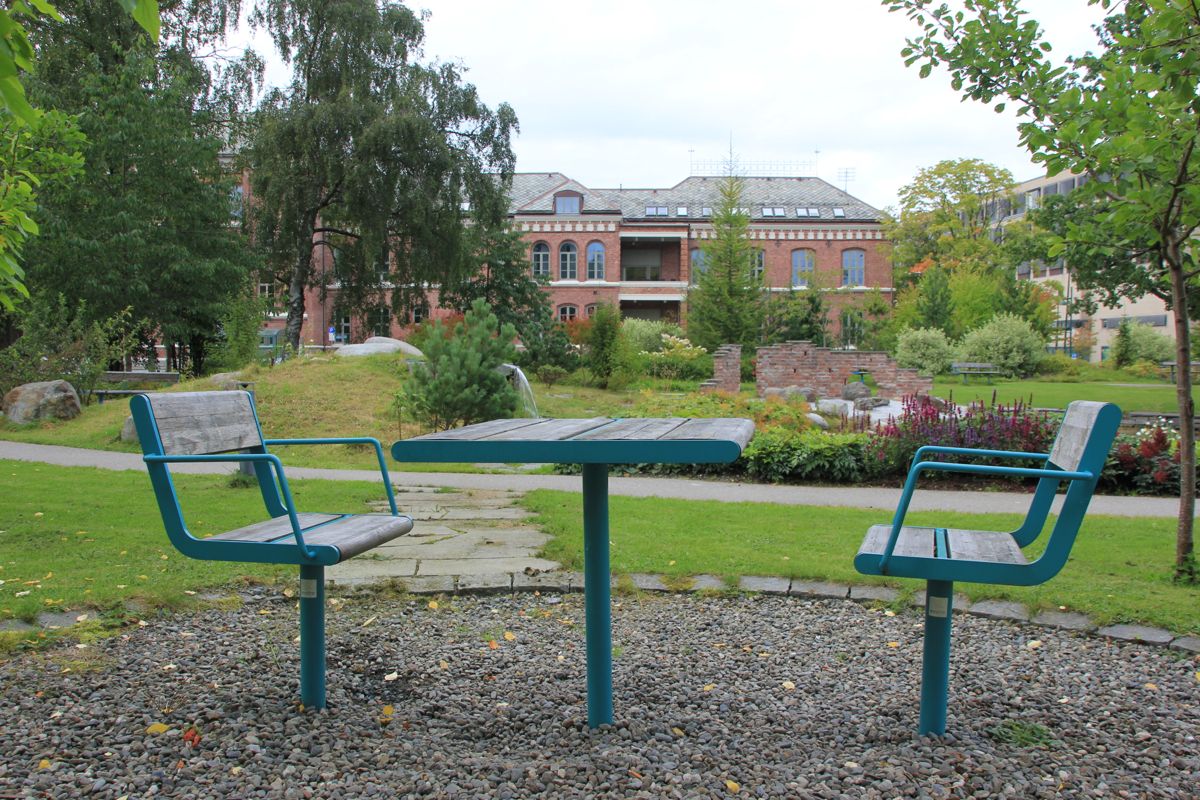 ST OLAVS: Sykehusparken ved St Olavs Hospital i Trondheim. Foto: Svanhild Blakstad