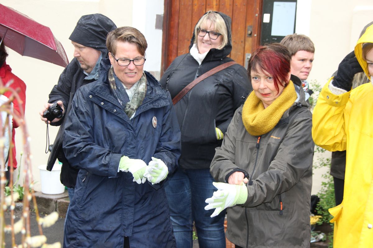 Klima- og miljøminister Tine Sundtoft og Hageselskapets Tove Berg gjør seg klar for å plante et humlevennlig seljetre. Foto: Svanhild Blakstad