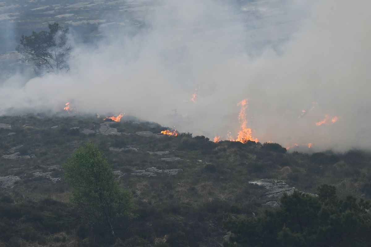 Brannvesenet er i ferd med å få kontroll over skogbrannen på Sotra i Øygarden kommune, ifølge beredskapsleder. Foto: Marit Hommedal / NTB