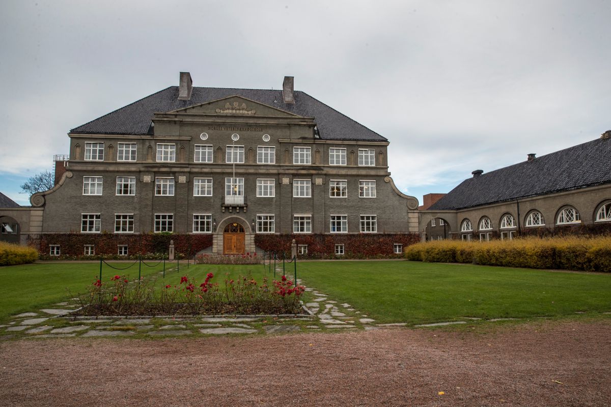 Veterinærhøgskolen. Foto: Terje Bendiksby / NTB