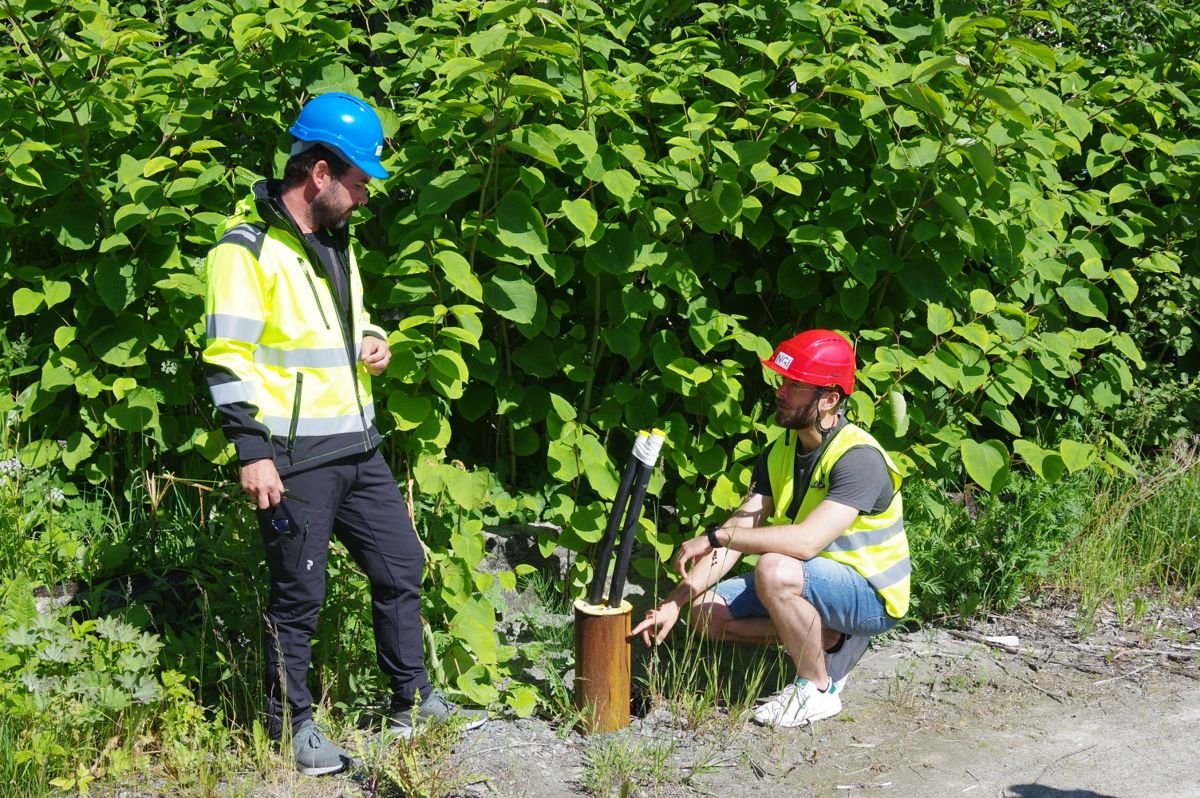 Ved Saksvik Renseanlegg i Malvik kommune har Asplan Viak allerede gjort tester av en energibrønn i berg. Prosjektansvarlig Tom André Havnes (til venstre) og prosjektleder Sondre Gjengedal i NGI sier de er spente på hvordan energipelene i BEAR-prosjektet vil kunne prestere sammenlignet med denne. Foto: NGI