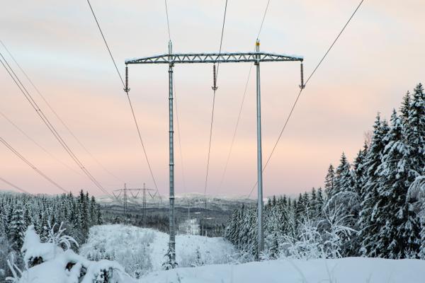 Ofte er det høyest strømpriser når det er kaldt ute, men i år er årets hittil høyeste pris midt på sommeren. Foto: Paul Kleiven / NTB