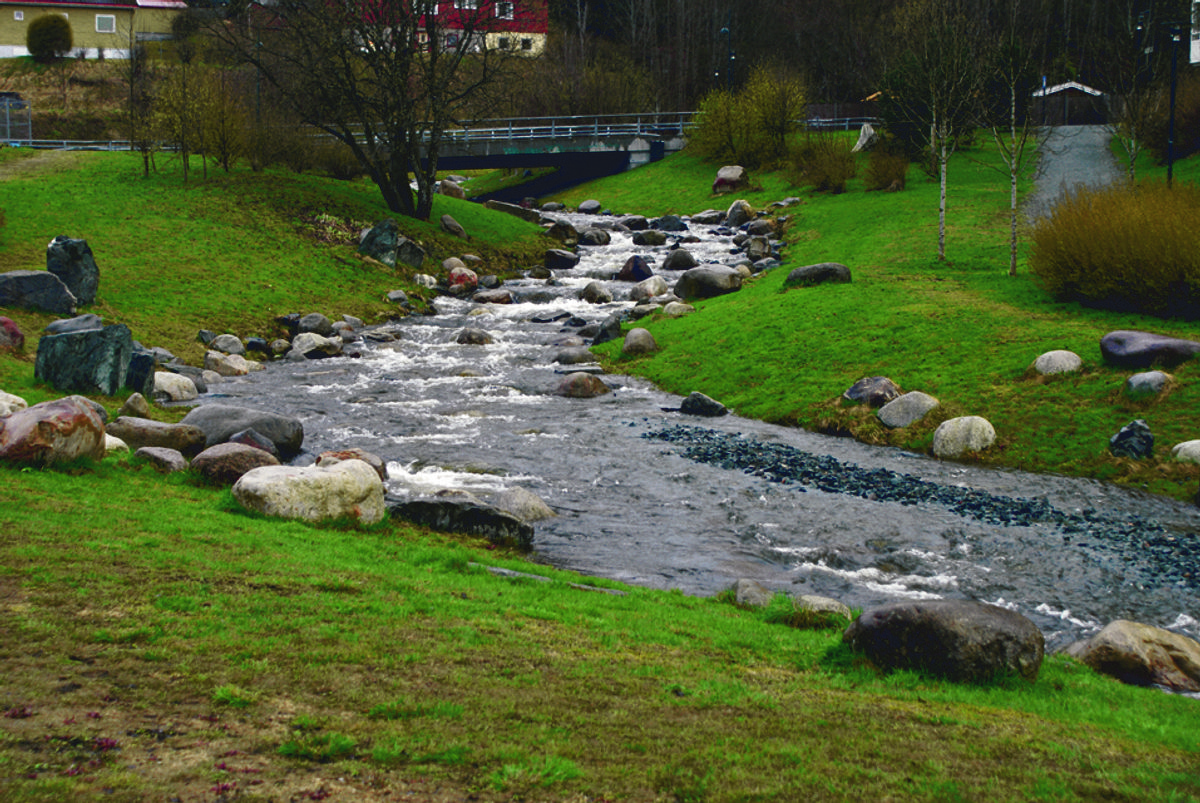 Åpning av bekker er et godt klimatilpasningstiltak. Ilabekken i Trondheim ble åpnet i 2008. Foto: SINTEF