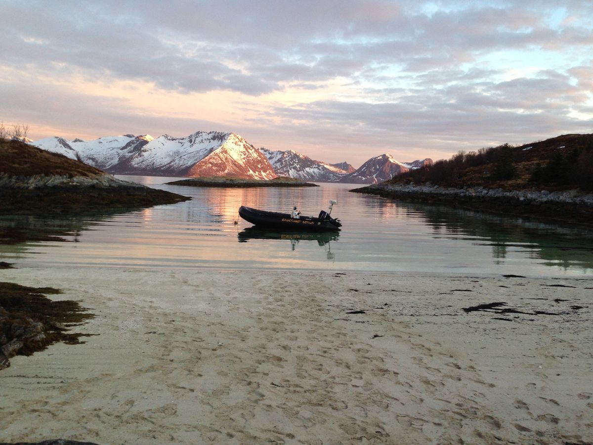 Dag Strømholt har gründer Basecamp Senja med sin kone. Nå er det kona som driver videre reiselivsbedriften, som blant annet tilbyr båtekspedisjoner, samtidig som Strømholt har tatt over som daglig leder for Consto Svalbard. Foto: Trude Mørkved
