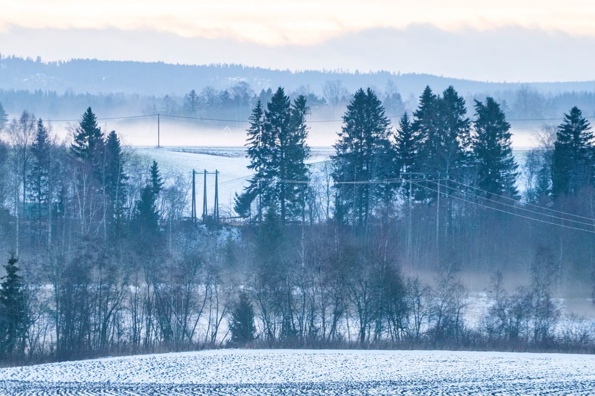 Strømkabler strekker seg gjennom vinterlandskapet ved Vormsund. Mange nordmenn oppgir at den høye strømprisen gjør at de må kutte andre kostnader. Illustrasjonsfoto: Håkon Mosvold Larsen / NTB