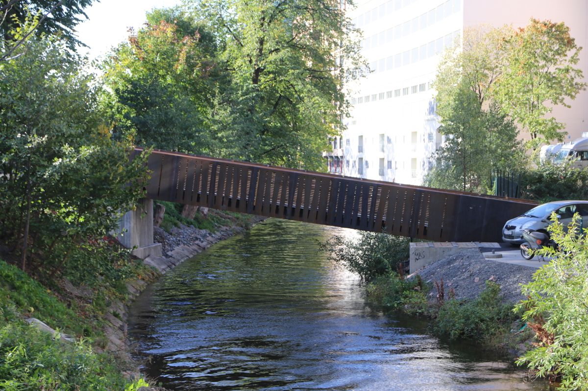 Åpning av Sundtbroa 20. september. Foto: Svanhild Blakstad