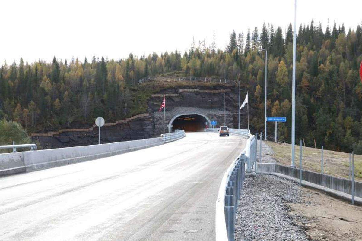 Langvassåga bru og Reinforsheia tunnel. Foto: Statens vegvesen