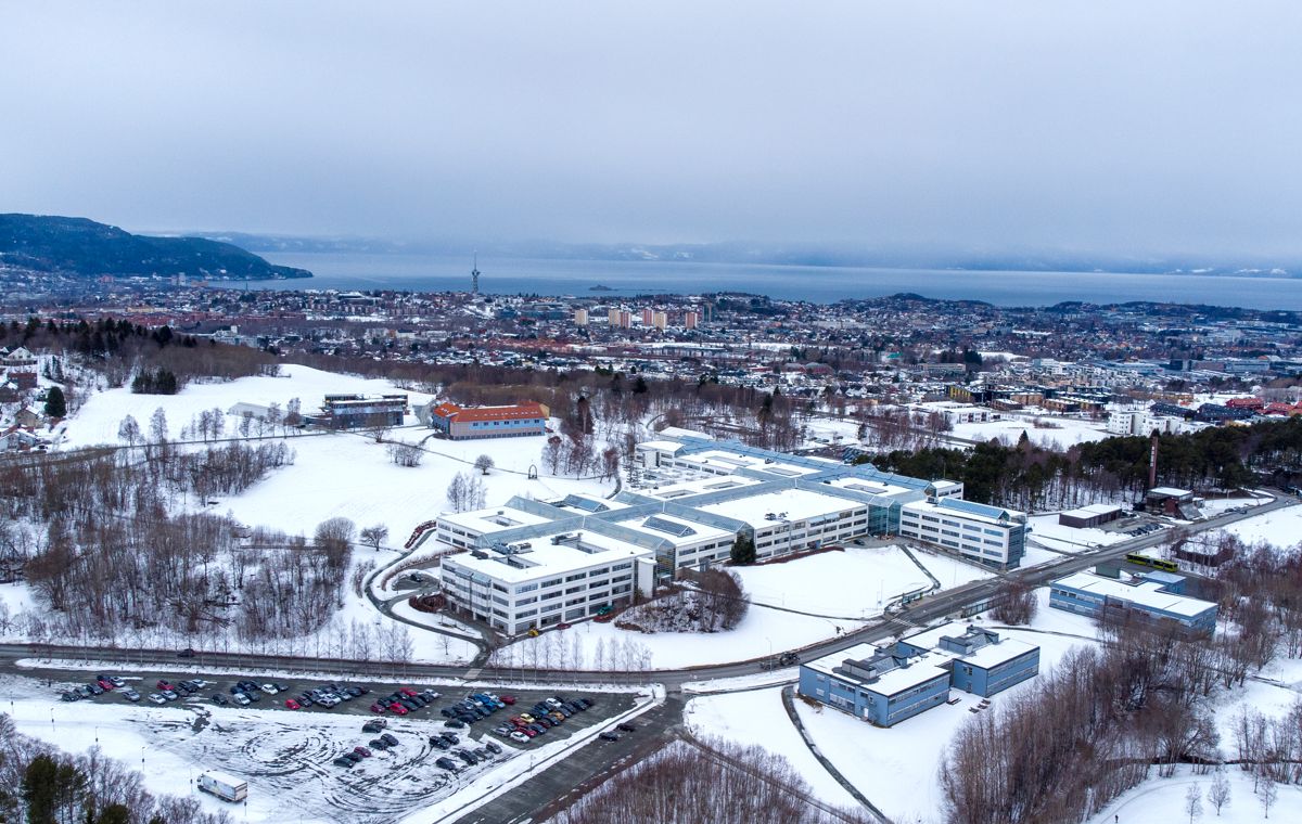 Dragvoll campus ved NTNU i Trondheim. Foto: Gorm Kallestad / NTB