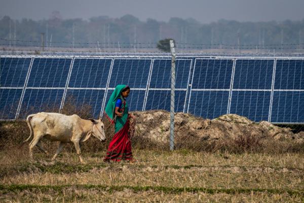 Billigere solkraft kan bidra til at verden når klimamålene, slik de blir beskrevet i Parisavtalen fra 2015, ifølge FNs klimapanel. Foto: Anupam Nath / AP Photo / NTB