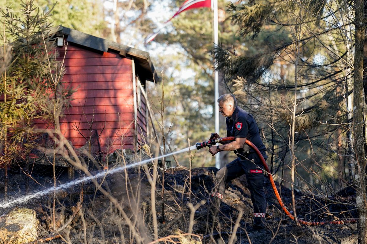 Brannvesenet jobbet lenge mandag med å slukke skogbrannen mellom Enningdalen og Kornsjø ved svenskegrensen sør for Halden. Alle hyttene ble reddet, unntatt et anneks. Foto: Stian Lysberg Solum / NTB
