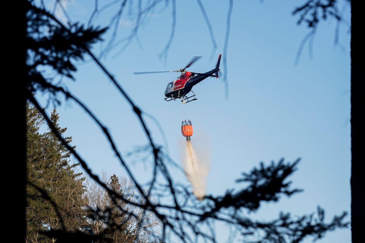 Gult farevarsel for skogbrann på Østlandet og deler av Agder fører til økt helikopterberedskap. Foto: Stian Lysberg Solum / NTB