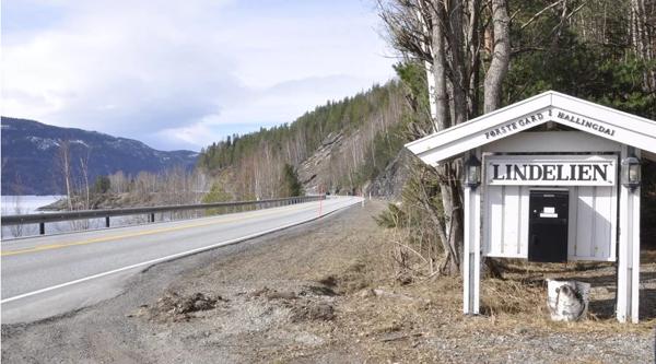 Fra Lindelien i Flå og omlag 8,5 kilometer til Gulsvik starter nå arbeidet med reguleringsplan form denne strekningen av riksvei 7 i Hallingdal. Foto: Kjell Wold / Statens vegvesen