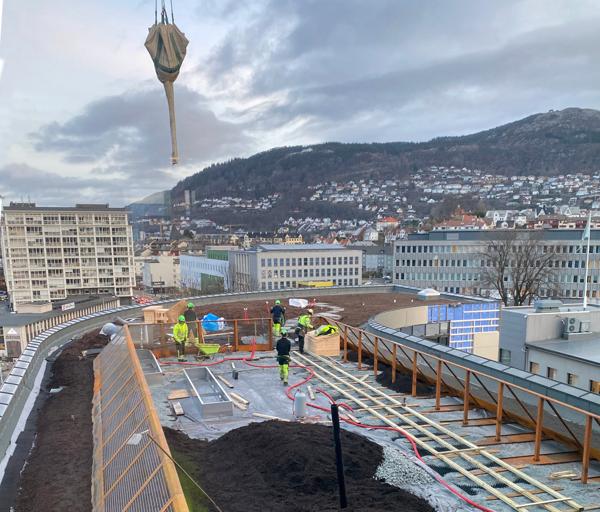 Taket på kontorbygget Buen i Bergen er 1.200 kvadratmeter og fylles med dyrkbare arealer og områder for rekreasjon og opphold. Her har byggherre Bara Eiendom valgt å gå for et mer påkostet tak enn de først hadde planlagt. Bildet er fra tidligere i år. Foto: Mattak