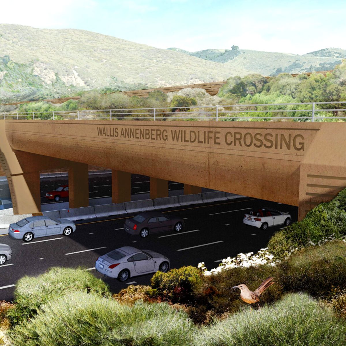 Dyrevernere i USA kan glede seg over en ny overgang som lar dyrene krysse motorveien US 101, Ventura Freeway i California. Illustrasjon: Annenberg Foundation