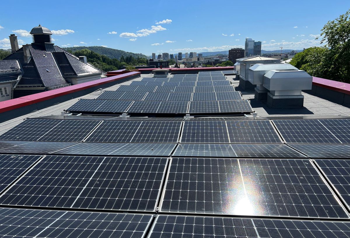 Sofienberg skole har også fått solcelleanlegg på taket. Foto: Cato A. Mørk / Multiconsult