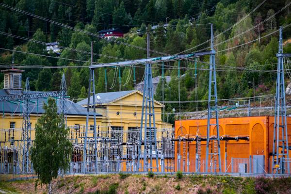 Naturvernforbundet mener det er viktigere å innføre strømsparetiltak enn makspris for å unngå stor energimangel i vinter. Foto: Lise Åserud / NTB