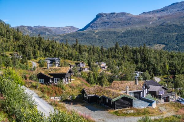 Flere hytteeiere har meldt flytting til fritidsboligen for å få krav på strømstøtte fra regjeringen, ifølge Norsk Hyttelag. Foto: Halvard Alvik / NTB
