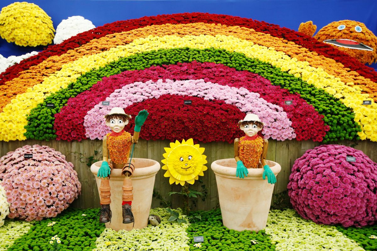 <i>The National Chrysanthemum Society's exhibit is based on popular children's television programmes of the 60's and 70's during prebuild at the RHS Chelsea Flower Show 2019.</i>