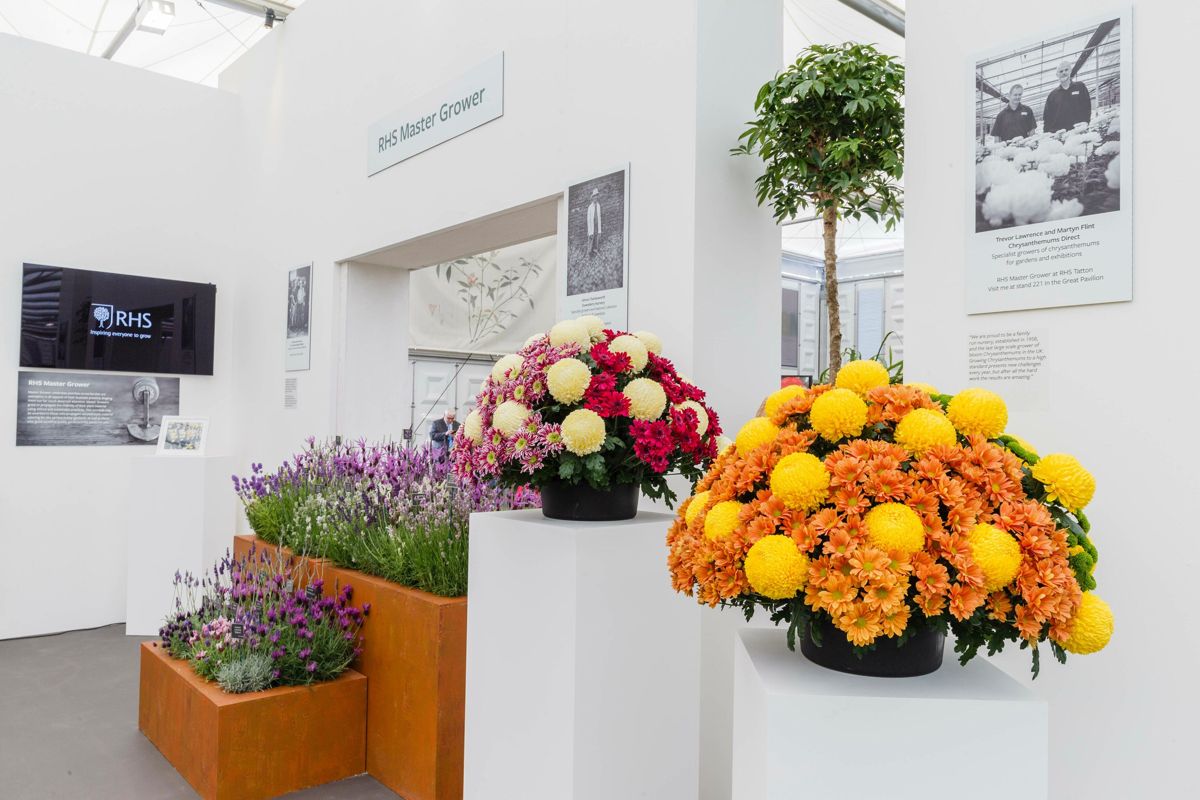 <i>Master Grower exhibit at the RHS Chelsea Flower.Show 2019.</i>