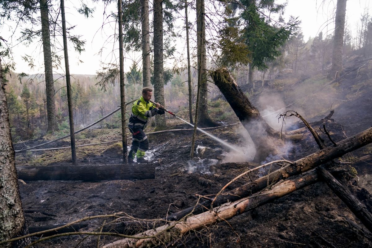 Tidligere i år var det skogbrann mellom Enningdalen og Kornsjø ved svenskegrensen sør for Halden. Nå er brannfaren stor igjen. Foto: Stian Lysberg Solum / NTB
