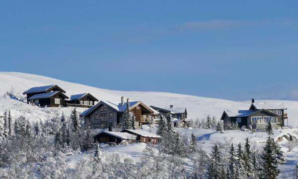 Så langt i år har det vært en nedgang i hyttesalget på nesten 30 prosent - men prisene holder seg høye. Foto: Erik Johansen / NTB