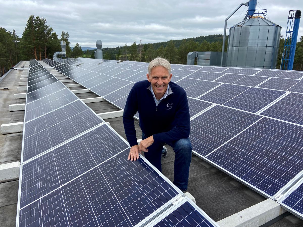 Daglig leder og medeier i Os Trekultur, Helge Kokvoll investerte i et solcelleanlegg på taket for tre år siden. Anlegget har en kapasitet på 125 kWp (kilowattpeak). Foto: Os Trekultur