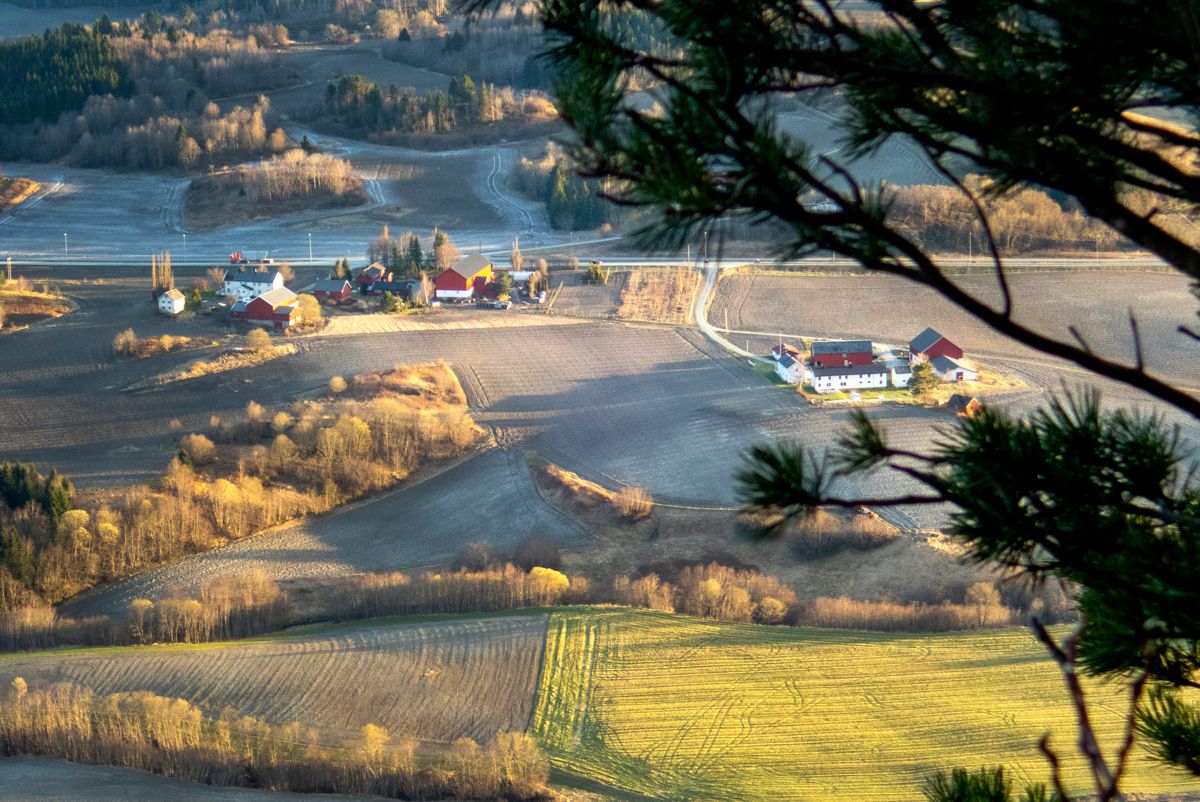 Den som ønsker å kjøpe seg en norsk landbrukseiendom, må være forberedt på en gjennomsnittspris på drøyt 3 millioner kroner, dobbelt så mye som i 2010. Illustrasjonsfoto: Gorm Kallestad / NTB