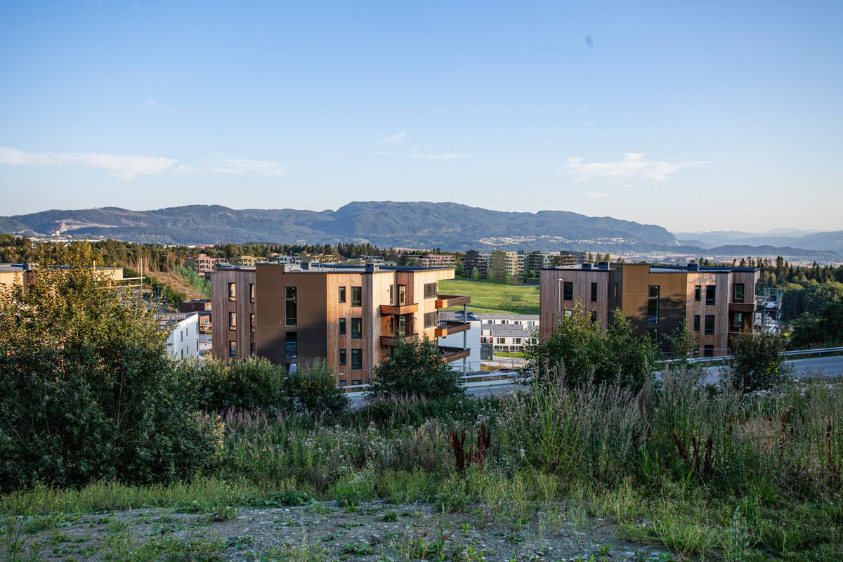 Over 500 nye boliger kan komme til Skjetleinskogen i Trondheim. Illustrasjon: Voll Arkitekter