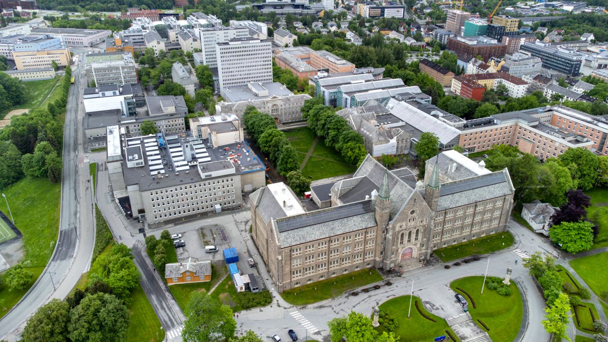 I Norge finnes det ti universiteter, NTNU er blant dem. Men hva skal til for å kunne bli et universitet? Det har en ekspertgruppe sett på. Foto: Gorm Kallestad / NTB
