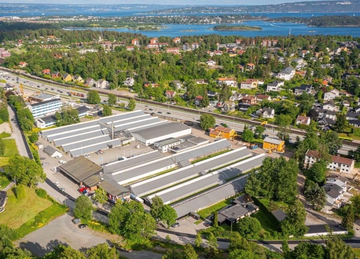 Her ved E18-utbyggingen på Høvik i Bærum har byggevareselskapet Thaugland sikret seg en 18 mål stor tomt. Foto: Daimy/Oro Eiendom.