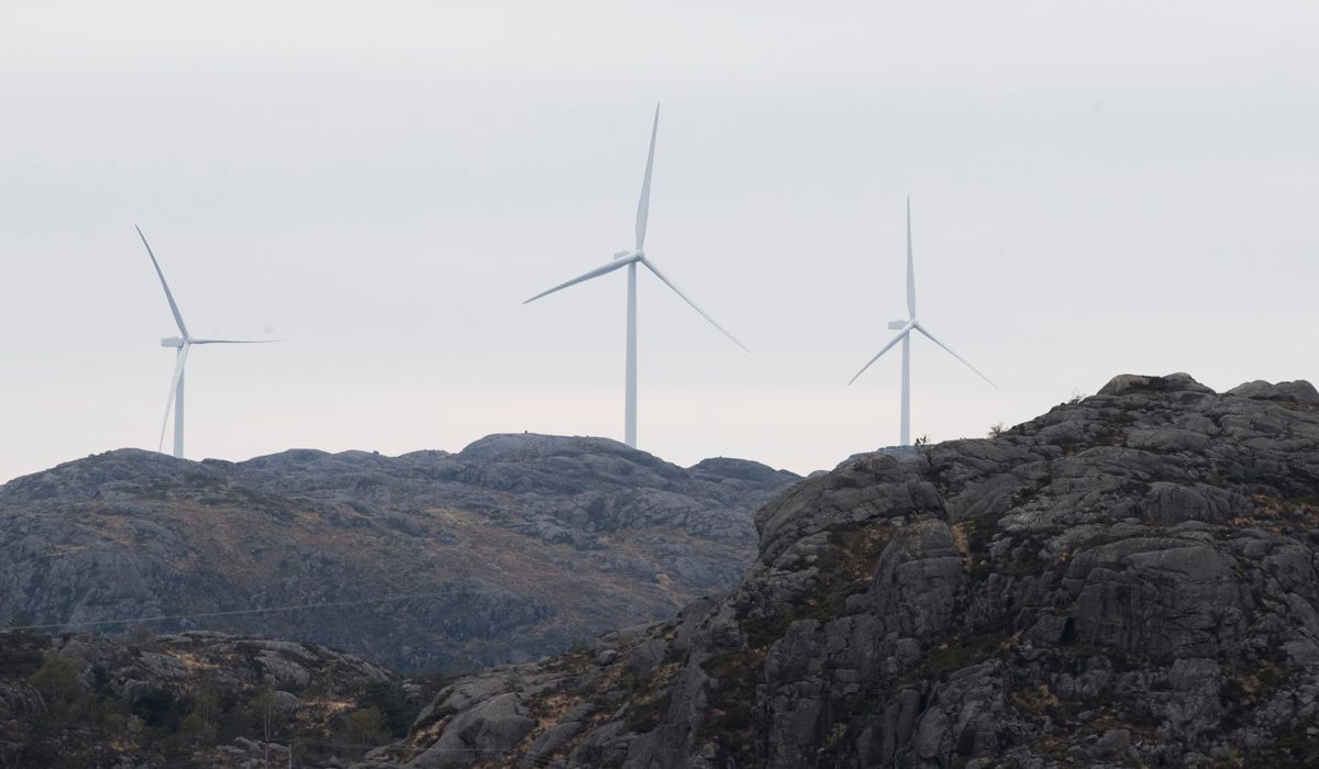 Disse vindturbinene i Egersund vindkraftverk i Rogaland har en tårnhøyde på 93 meter og vingene er 67 meter lange. Foto: Terje Pedersen / NTB