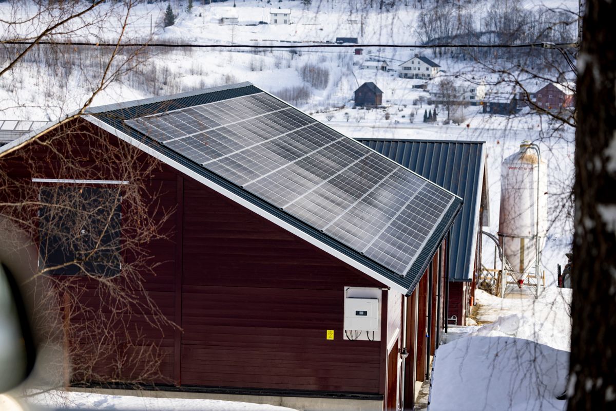Solcellepanel på taket kan kutte strømforbruket – men er dyrt å installere. Nå forlanger Stortinget at regjeringen utvider støtteordningene til Enova.  Foto: Geir Olsen / NTB
