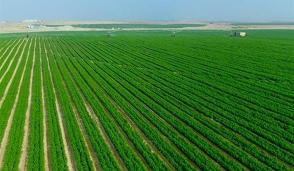Egypts nye kunstige elv skal bidra til å skape nytt liv og matproduksjon i ørkenen. Foto: State Information Service