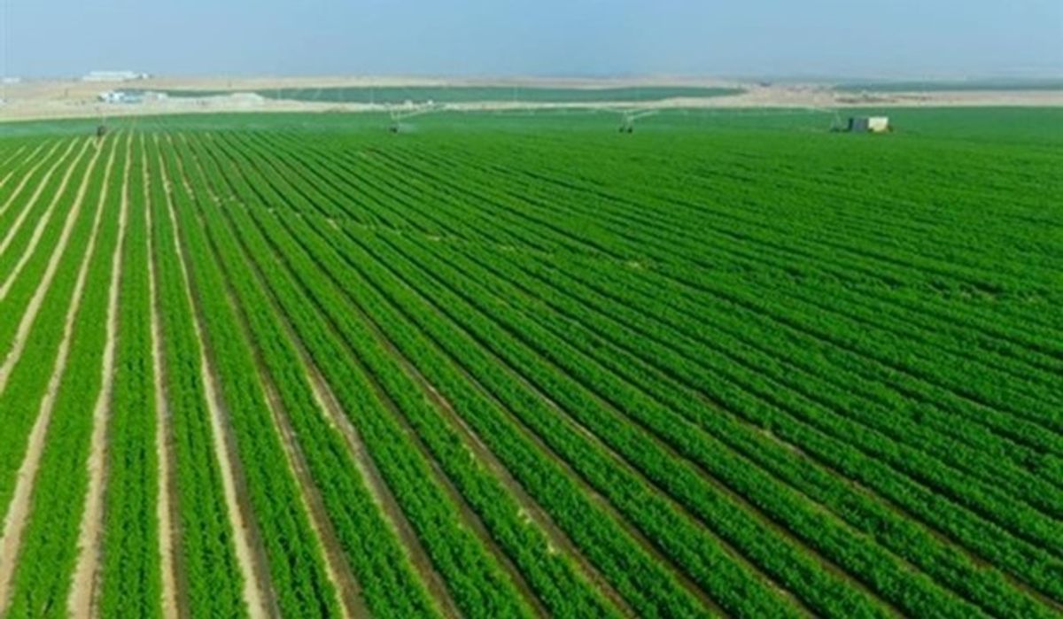 Egypts nye kunstige elv skal bidra til å skape nytt liv og matproduksjon i ørkenen. Foto: State Information Service