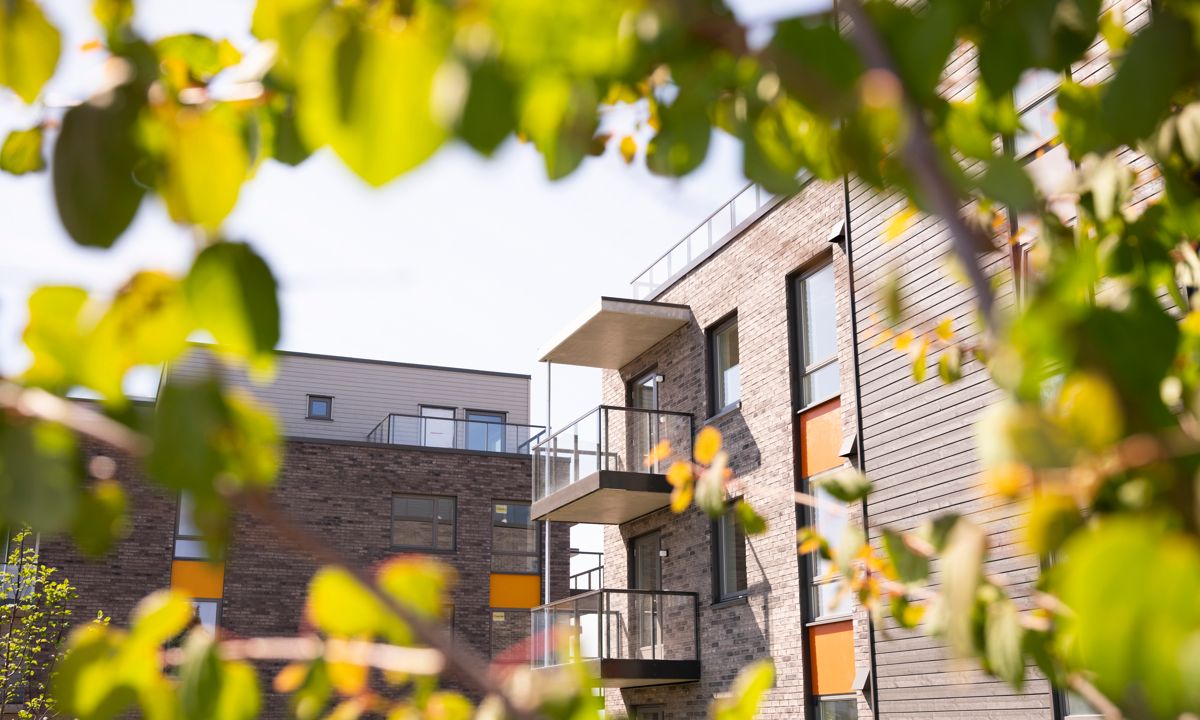 Boligprosjektet Presterødalleen i Tønsberg er svanemerket. Foto: Werner Anderson