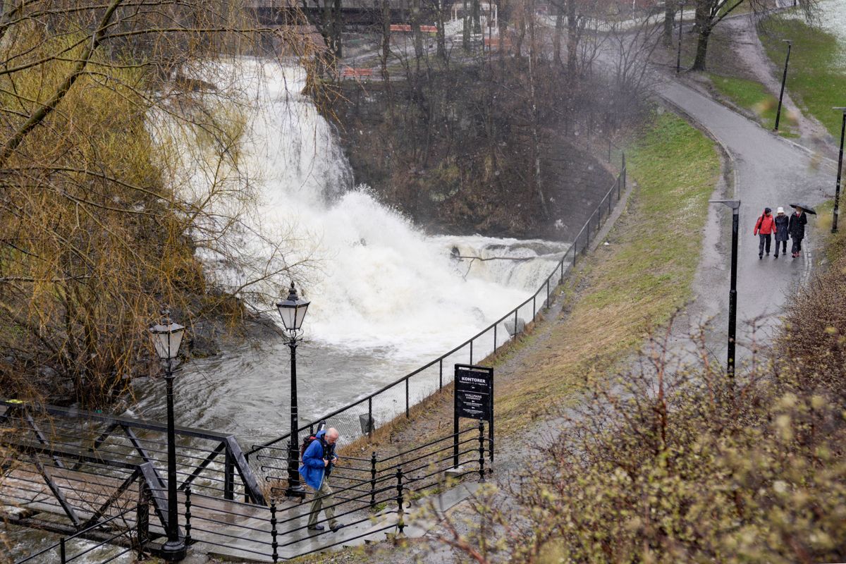 Nedbør og snøsmelting gjør at vannføringen i Akerselva i Oslo var større enn vanlig i april. Foto: Lars Thomas Nordby / NTB