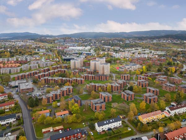 Dronebilde av Moholt studentby. Området som er aktuelt for de nye studentboligene er omtrent midt på bildet på høyre side. Foto: Sit.