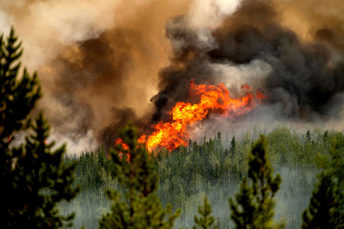 Flammene stiger fra tretoppene i Donnie Creek i provinsen British Columbia 2. juli. Årets brannsesong i Canada er den verste noensinne, ifølge det canadiske skogvesenet. Foto: Noah Berger / AP / NTB